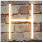 Neon Letter Sign Night Lights LED Alphabet Neon Art Lights Wall Decor Light up Words for Wedding Birthday Party Christmas Home Bar Decoration H